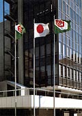 [写真]東京本社ビルにひるがえる新社旗