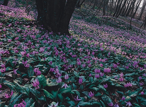 富士フイルムフォトサロン札幌