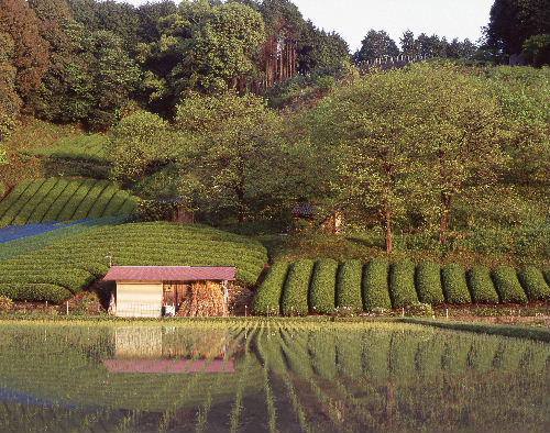 富士フイルムフォトサロン名古屋