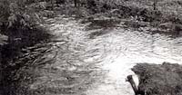[写真]浮気（ふけ）ゆう水 1933年（昭和8年）2月当時