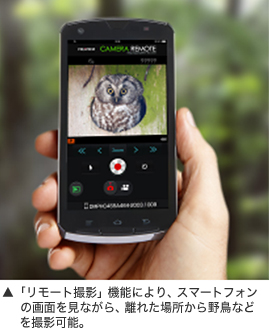 [写真] 「リモート撮影」機能により、スマートフォンの画面を見ながら、離れた場所から野鳥などを撮影可能。