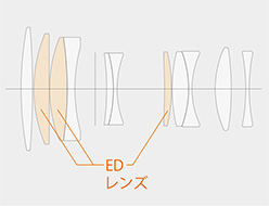 [図] 8群11枚のレンズ構成を採用。大口径のEDレンズを3枚使用