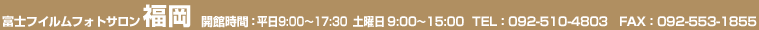 ʡ