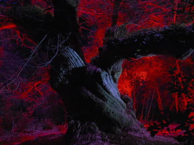 [Image]「Timeland（タイムランド）」