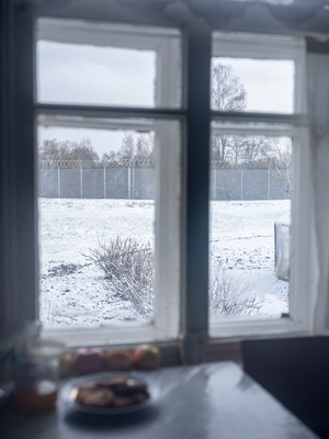 [Image]「Shared Horizon（分かち合う地平線）」