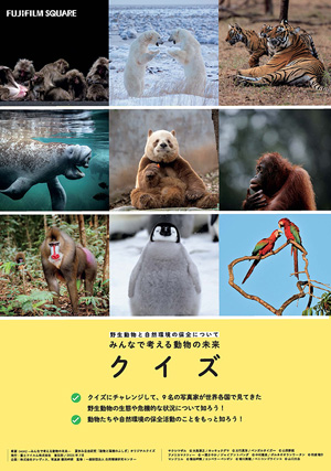 [Image]「みんなで考える動物の未来クイズ！」