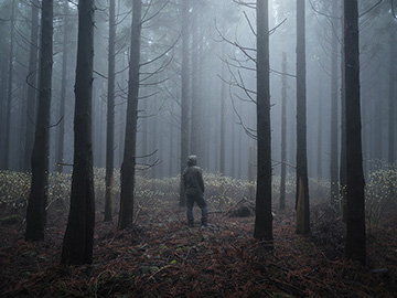 [Image]星野 翔